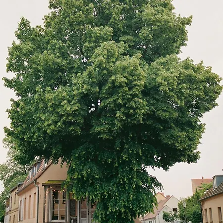 아파트 Im Scheunhornweg *