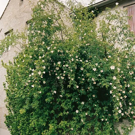 Im Scheunhornweg * 베르데르