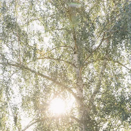 Im Scheunhornweg 아파트