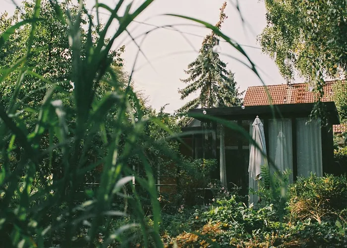 Im Scheunhornweg * Werder (Havel)