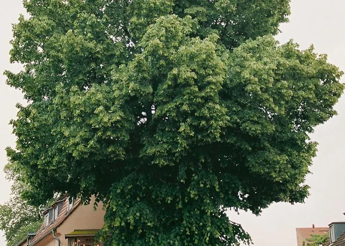Appartement Im Scheunhornweg *