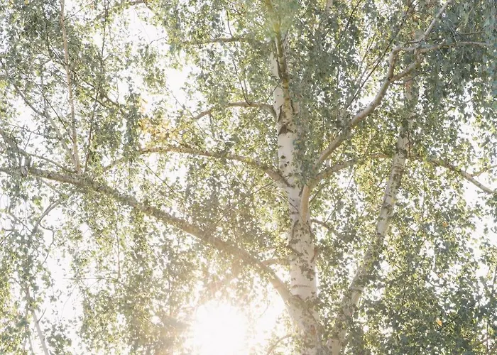 Im Scheunhornweg Appartement