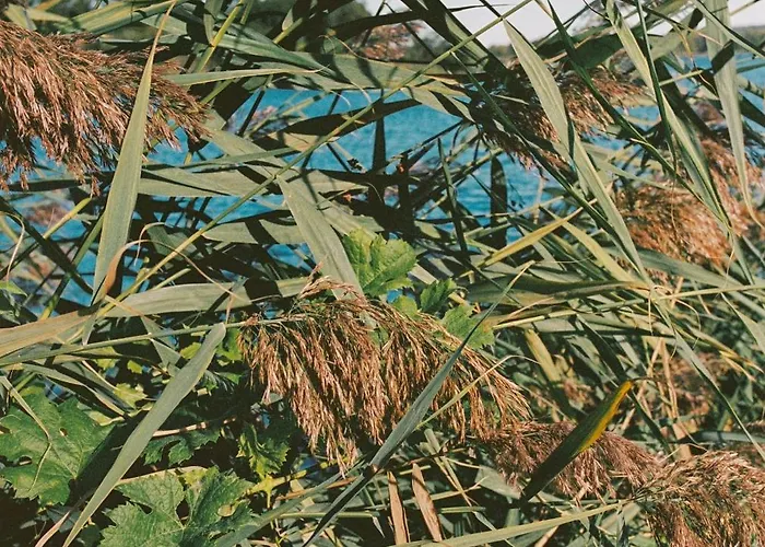 Appartement Im Scheunhornweg