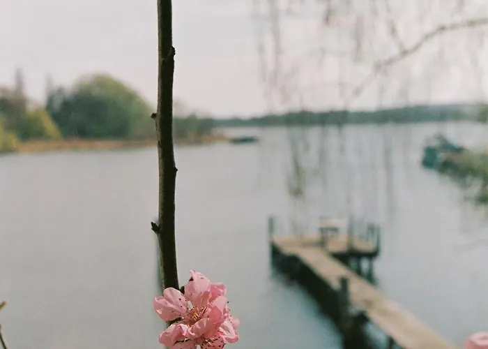 Im Scheunhornweg Appartement *